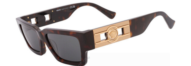 Versace Dark Grey Eyewear