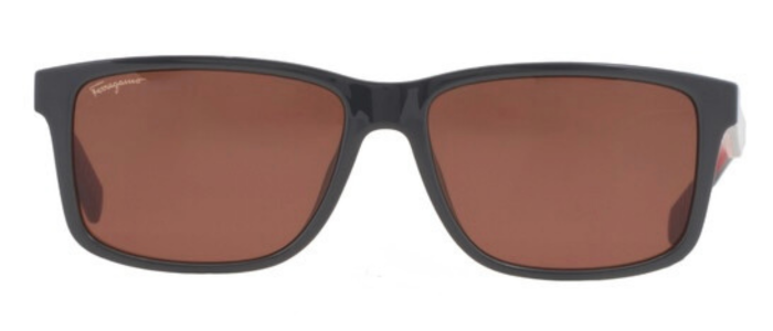Salvatore Ferragamo Eyewear