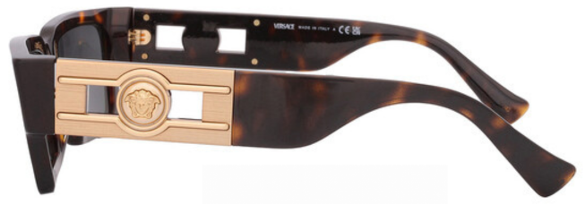 Versace Dark Grey Eyewear