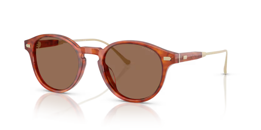 Coach Sunglasses
