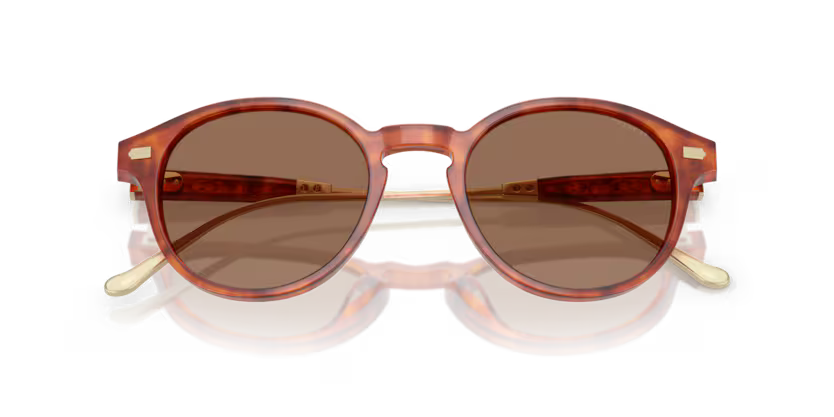 Coach Sunglasses