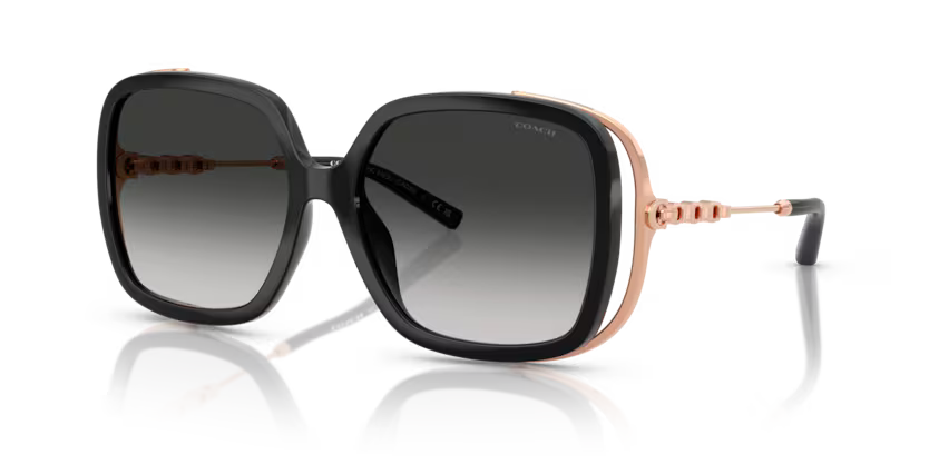 Coach Sunglasses