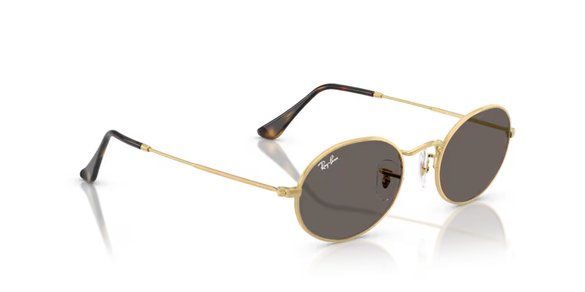 Ray-Ban Sunglasses