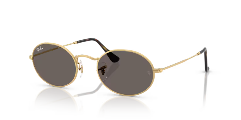 Ray-Ban Sunglasses