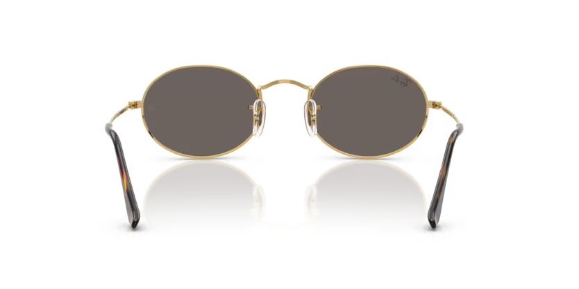 Ray-Ban Sunglasses