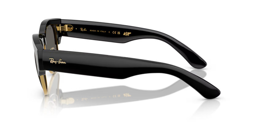 Ray-Ban Sunglasses